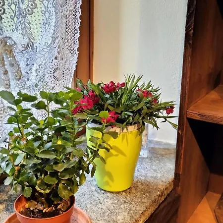 Maison Du Soleil- Cir Vda N 0204