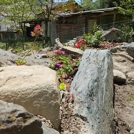 Maison Du Soleil- Cir Vda N 0204