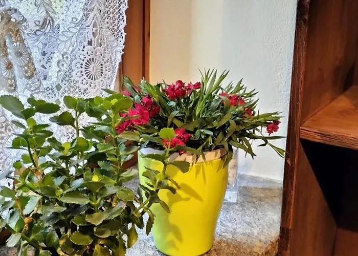 Maison Du Soleil- Cir Vda N 0204