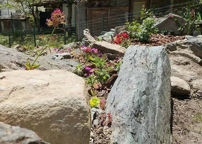 Maison Du Soleil- Cir Vda N 0204